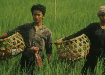 Picture of the day: Rice People
