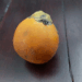 Picture of the day: Areca fruit