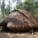 The Bunong People: Guardians of the Eastern Highlands