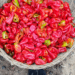 Picture of the day: Pickled Chilies