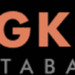 AngkorDatabase: The Online Treasure Trove of Khmer Civilization