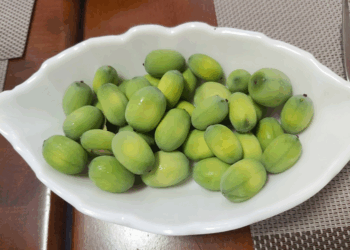 Picture of the day: Fresh lotus seed