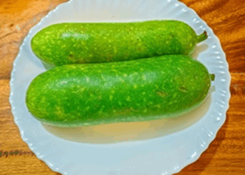 Picture of the day: Winter melon