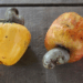 Picture of the day: Cashew apple