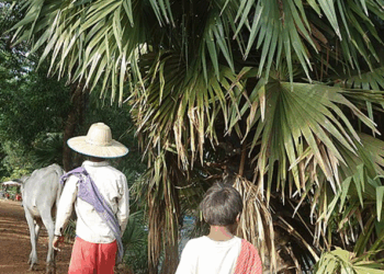 The Cambodian Krama: Textile, Identity, and Resilience in Khmer Society
