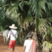 The Cambodian Krama: Textile, Identity, and Resilience in Khmer Society