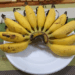 Banana Species in Cambodia: An Amateur Botanist’s Perspective