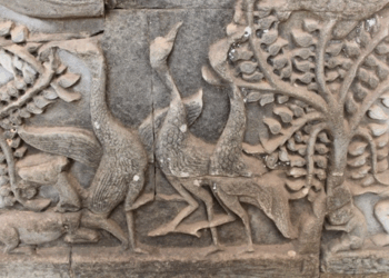 Picture of the day: Geese in Cambodia According to Zhou Daguan