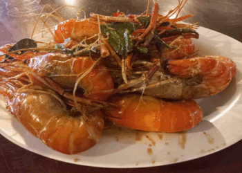Picture of the day: Mekong Lobster