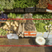 Picture of the day: Chinese veggies at Central Market, Phnom Penh