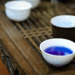 Butterfly Pea in Cambodia: Traditional Uses, Botanical Characteristics, and Culinary Applications