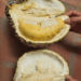 Picture of the day: Cambodian Durian – King of Fruits