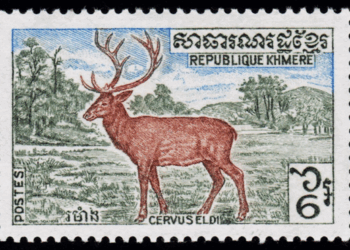 Eld’s Deer in Cambodia: The Enduring Struggle for Survival