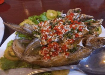 Picture of the day: Deep-fried glass catfish