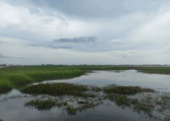 Picture of the day: Tonle Prey Pras