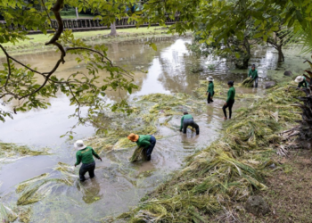 Picture of the day: Baphuon Temple, Cleaning the Moat