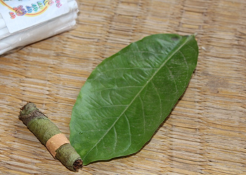 Picture of the day: Hand‑Rolled Tree‑Leaf Cigarettes in Battambang
