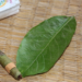 Picture of the day: Hand‑Rolled Tree‑Leaf Cigarettes in Battambang