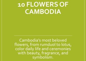 Video: 10 Flowers of Cambodia: Beauty in Every Petal