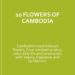 Video: 10 Flowers of Cambodia: Beauty in Every Petal