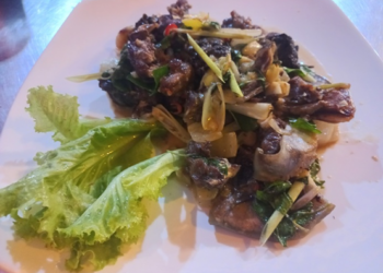 Picture of the day: Kantheay Chha Kaeng: Stir-fried Soft Turtle with Lemongrass Heat