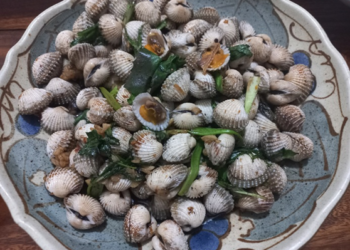 Picture of the day: Vepricardium asiaticum: Cambodian Cockles