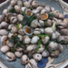 Picture of the day: Vepricardium asiaticum: Cambodian Cockles