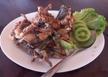 Picture of the day: Cambodian Style Deep Fried Frogs