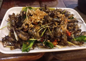 Picture of the day: Crispy Deep-Fried Crickets: Cambodian Street Food Delight
