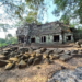 Picture of the day: Library at Preah Khan of Kampong Svay