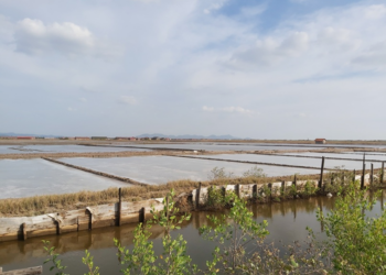 Picture of the day: Salt Marshes of Kep: Cambodian Coastline in Slow Motion