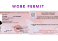 Working in Cambodia in 2026: Visas, Work Permits and Everyday Reality for Foreigners