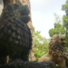 Prasat Tao: Lions, Brickwork, and a 7th‑Century Royal Project at Sambor Prei Kuk