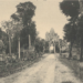 Picture of the day: Silent Approach to Angkor Thom’s South Gate, 1933