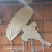 Picture of the day: Khmer Kite Khlaeng Ek on Rustic Container Wall