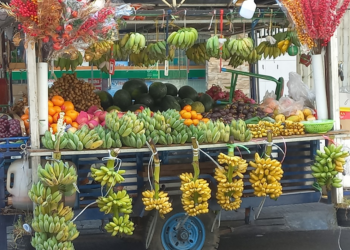 Picture of the day: Street Fruit Cart in Phnom Penh – A Colorful Daily Market Scene