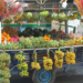 Picture of the day: Street Fruit Cart in Phnom Penh – A Colorful Daily Market Scene