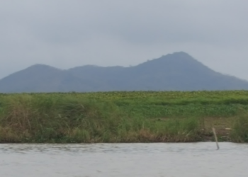 Distant view of Neang Kong Rey Mountain in Kampong Chhnang, Cambodia, rising in two soft peaks above a flat green riverside plain under a cloudy grey sky.