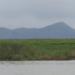 Distant view of Neang Kong Rey Mountain in Kampong Chhnang, Cambodia, rising in two soft peaks above a flat green riverside plain under a cloudy grey sky.