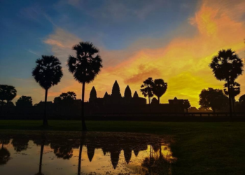 Angkor Wat temple silhouetted against a dramatic orange and yellow sunrise sky with sugar palm trees reflected in the water pool at Siem Reap, Cambodia