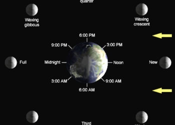 Diagram of Earth surrounded by the eight Moon phases (New, Waxing crescent, First quarter, Waxing gibbous, Full, Waning gibbous, Third quarter, Waning crescent) with clock times around Earth and arrows showing the Moon’s orbit.