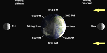 Diagram of Earth surrounded by the eight Moon phases (New, Waxing crescent, First quarter, Waxing gibbous, Full, Waning gibbous, Third quarter, Waning crescent) with clock times around Earth and arrows showing the Moon’s orbit.