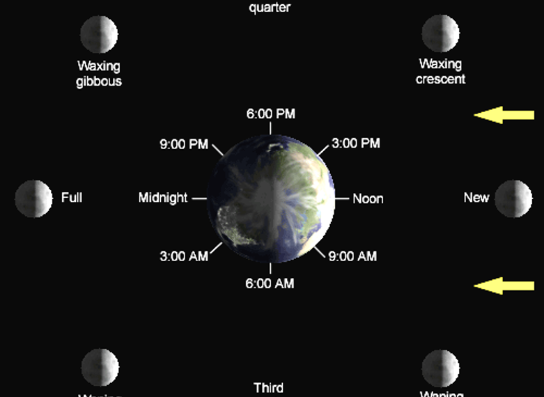 Diagram of Earth surrounded by the eight Moon phases (New, Waxing crescent, First quarter, Waxing gibbous, Full, Waning gibbous, Third quarter, Waning crescent) with clock times around Earth and arrows showing the Moon’s orbit.