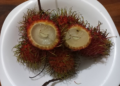 Close-up of opened red rambutans on a white plate in Phnom Penh, showing translucent flesh and playful “smiling” shapes, a typical Cambodian tropical fruit snack.