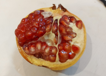 Half-opened pomegranate on a white surface, showing glossy red seeds and pale rind, photographed in natural Cambodian indoor light.