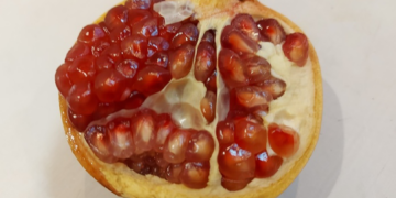 Half-opened pomegranate on a white surface, showing glossy red seeds and pale rind, photographed in natural Cambodian indoor light.