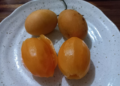 Four ripe marian plums, two peeled and two whole, on a speckled ceramic plate on a wooden table, illustrating Cambodian home-style fruit enjoyment.