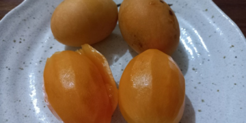 Four ripe marian plums, two peeled and two whole, on a speckled ceramic plate on a wooden table, illustrating Cambodian home-style fruit enjoyment.