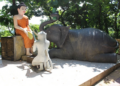 Color photo of a Buddha statue with a kneeling monkey and reclining elephant making offerings on a sunlit platform at Phnom Sambok Pagoda in Kratie, Cambodia, surrounded by lush green trees and temple balustrades.