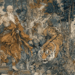 AI-generated illustration in the style of a traditional Khmer temple mural, depicting an elderly hermit with a long white beard facing an ungrateful tiger in a lush Cambodian forest, inspired by the classic Khmer folktale “The Good Hermit and the Ungrateful Tiger.”